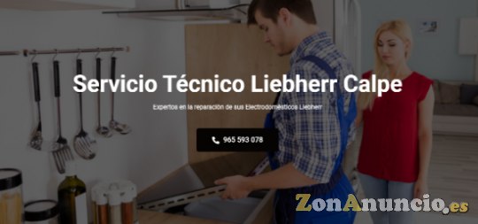Servicio Técnico Liebherr Calpe 965217105